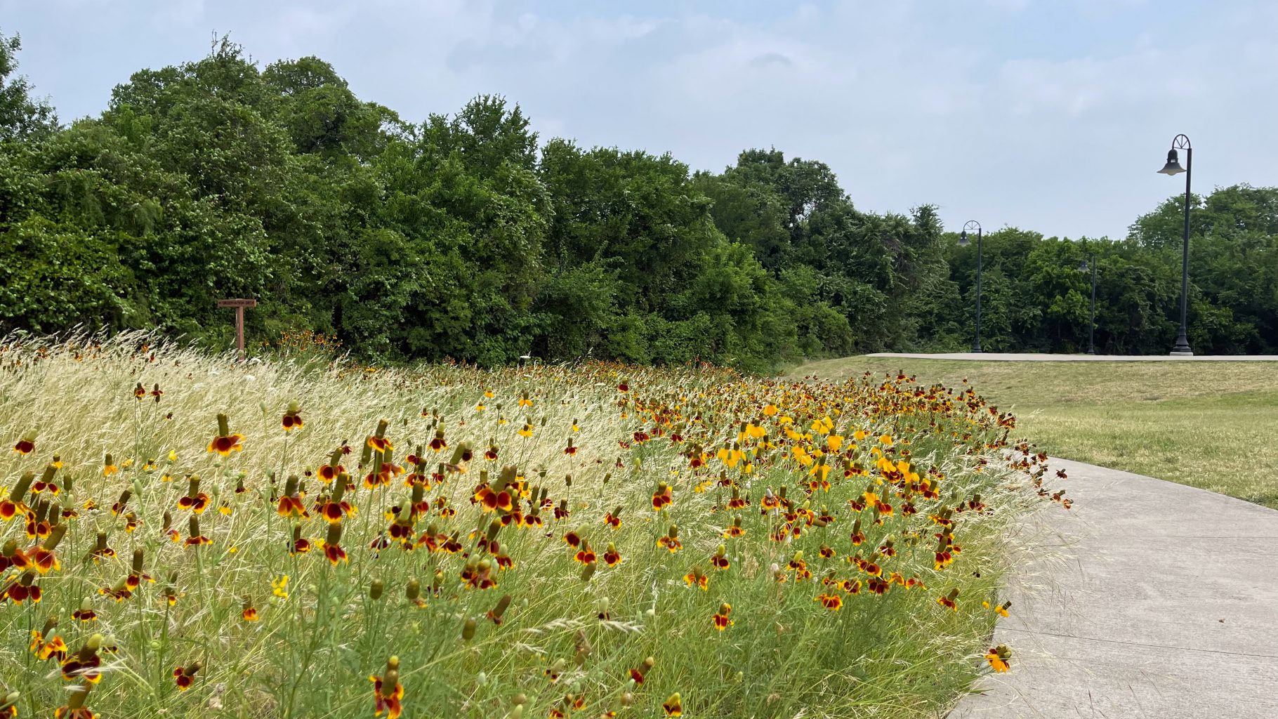 Artificial turf installation in Coppell, TX